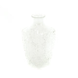 HV Glass Water Bottle - Clear - 9x19 cm